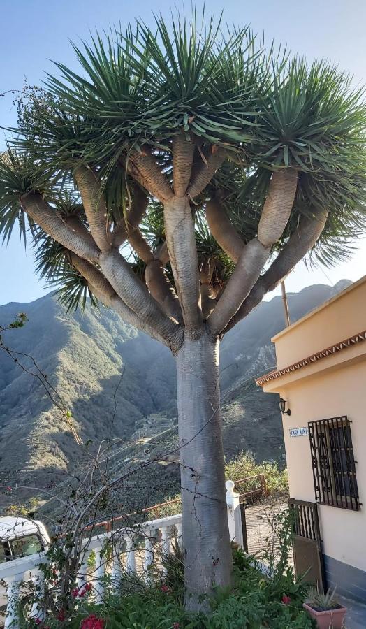 Willa Casa Noni Santa Cruz de Tenerife Zewnętrze zdjęcie